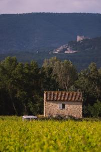 un edificio de piedra en un campo con un castillo en el fondo en Nuit insolite au milieu des vignes, en Goult