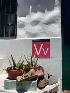 two potted plants and rocks on a wall at La Puerta del Sol in Adeje