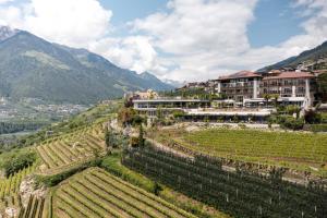 an aerial view of a vineyard and buildings on a mountain at Boutique Hotel Eschenlohe in Schenna