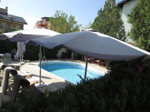 a swimming pool with an umbrella and two chairs at Hostel Papagal in Varna City