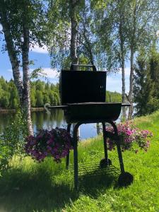 a piano sitting in the grass next to a lake at Arctic Resort Delight in Rovaniemi