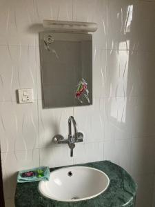 索拉哈的住宿－Sauraha Guest House，一间带水槽和镜子的浴室