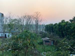 Blick auf ein Feld mit Bäumen und ein Haus in der Unterkunft Sauraha Guest House in Sauraha
