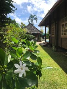 Κήπος έξω από το Chalet Ohana, airport family house