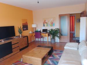 uma sala de estar com um sofá, uma televisão e uma secretária em Appartement avec balcon : Le Serenity em Turckheim