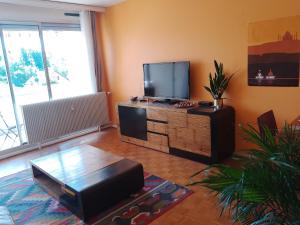 uma sala de estar com uma televisão de ecrã plano em Appartement avec balcon : Le Serenity em Turckheim
