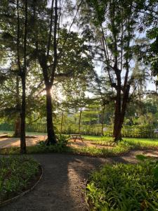 Issara Beach Resort Beachfront外面的花园