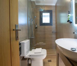 a bathroom with a toilet and a sink and a shower at Zisis Suites in Nydri
