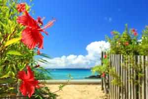 a fence with red flowers in front of the beach at サンセットビューコテージ本部 in Motobu