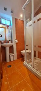 a bathroom with a shower and a toilet and a sink at Apartamentos El Pigazu in Cangas de Onís