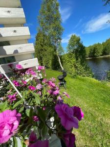 un ramo de flores rosas junto a una casa en Lomavekarit Apartments en Rovaniemi