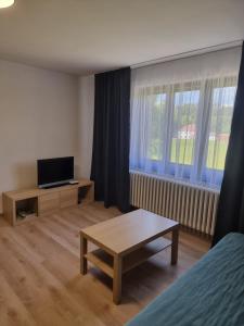 a room with a bed and a table and a tv at Penzion Hvozd in Nová Pec