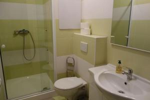 Koupelna v ubytování Apartmán IRIS Podhájska + 18 fotografií