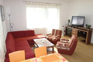 TV a/nebo společenská místnost v ubytování Apartmán IRIS Podhájska