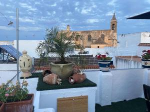 Fotografie z fotogalerie ubytování Apartment with Sea View in Rota - 45m² + Terrace v destinaci Rota