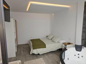 - une chambre avec un lit et une baignoire dans l'établissement Alojamientos suite la morita, à Benalup-Casas Viejas