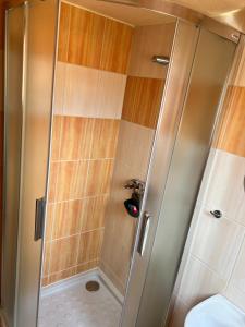 prysznic ze szklanymi drzwiami obok toalety w obiekcie Apartmán Dlouhá w mieście Bechyně +7 zdjęć