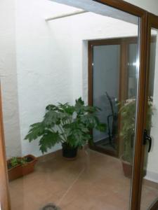 une chambre avec des plantes en pot et une porte coulissante en verre dans l'établissement Loft en planta baja en Ciudad Rodrigo, à Ciudad-Rodrigo