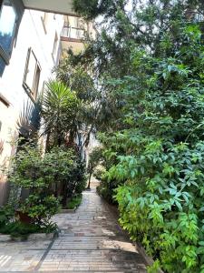 um caminho de pedra em frente a um edifício com plantas em A casa di Nonna em Pescara