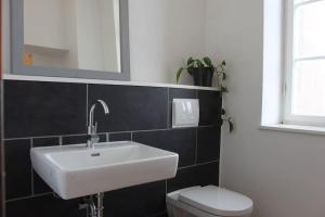 ein Badezimmer mit einem weißen Waschbecken und einem WC in der Unterkunft Villa Laubach in Laubach
