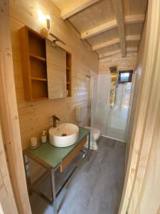 uma casa de banho com um lavatório e um WC em Chalet Rent Porlezza em Porlezza