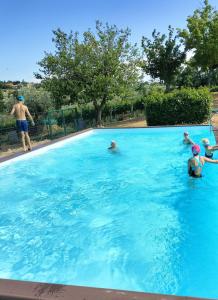 un gruppo di persone in piscina di Angelucci Agriturismo con Camere e Agri Camping a Lanciano