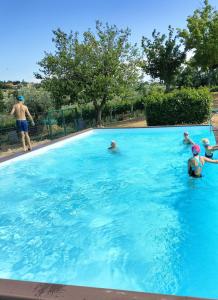 un groupe de personnes dans une piscine dans l'établissement Angelucci Agriturismo con Camere e Agri Camping, à Lanciano