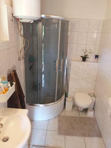 a bathroom with a shower and a toilet and a sink at Uroczy domek letniskowy z kominkiem 100m2 in Bogaczewo