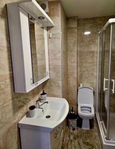 W łazience znajduje się umywalka, toaleta i lustro. w obiekcie Stan na dan Ilvento 2 w mieście Vršac