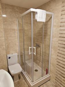 a shower stall in a bathroom with a toilet at Stan na dan Ilvento 2 in Vršac