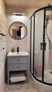 W łazience znajduje się prysznic, umywalka i lustro. w obiekcie Domki Wysokie Trawy Zdory w Piszu