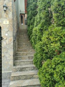 a stone stairway leading up to a building at Green Apple Guesthouse in Leányfalu