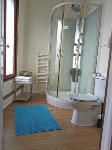 a bathroom with a shower and a toilet and a blue rug at Chez Kahina ancien hôtel Robert in Giat