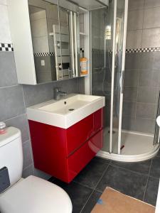 uma casa de banho com um lavatório vermelho e um chuveiro em CHEZ BRIGITTE em Châtillon-sur-Marne