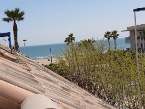バレンシアにあるVilla VegaLiraのヤシの木と建物のあるビーチの景色を望めます。