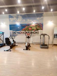 a gym with a large painting on the wall at Ondraszek in Ustroń