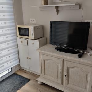 a television on a wooden cabinet with a microwave at Studio attenant a la maison principale in Saint-Martin-des-Tilleuls