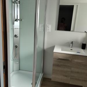 a bathroom with a shower and a sink at Studio attenant a la maison principale in Saint-Martin-des-Tilleuls