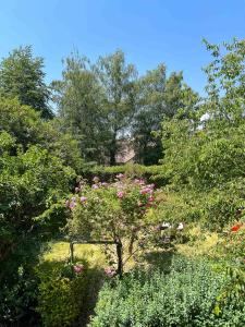 un jardín lleno de flores rosas y árboles en Appart'Hôtel Le Jaurès - Jardin privé et Netflix, en Belfort