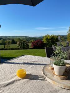 a glass of orange juice sitting on a table at Hébergement à 20 min à pied du circuit Spa-Francorchamps in Malmedy