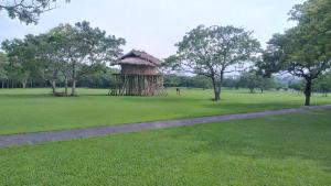 a small hut in a field with trees at 台東卑南公園民宿 in Taitung City