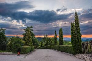 a driveway with trees and a cloudy sky at La Mesteceni & Loc cu Stări de Bine, SPA adult only in Sălicea