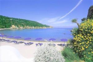 a beach with chairs and umbrellas on the beach at Appartamenti Miramare in Collina in Ischia