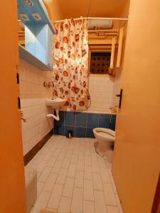 a bathroom with a toilet and a shower curtain at Apartman Ena in Sjenica