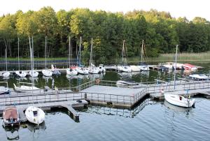 a group of boats docked at a dock in the water at Apartament Gruszowy Sad in Olsztyn