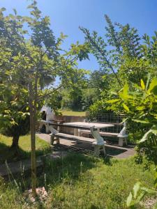 a picnic table in the middle of a park at Apartmani Borić in Vantačići