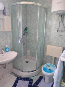 ein Bad mit einer Dusche, einem WC und einem Waschbecken in der Unterkunft Apartmani Borić in Vantačići