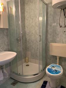 ein Bad mit einer Dusche, einem WC und einem Waschbecken in der Unterkunft Apartmani Borić in Vantačići