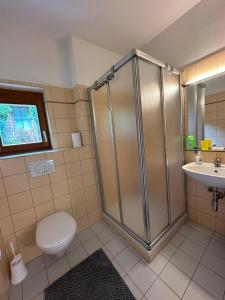 ein Bad mit einer Dusche, einem WC und einem Waschbecken in der Unterkunft Appartment Rosennock in Sankt Oswald