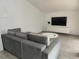 Televízia a/alebo spoločenská miestnosť v ubytovaní Eva Apartment 2